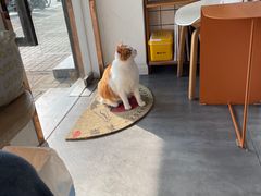 -W Coffee(船板巷店)