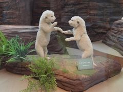 -陕西自然博物馆