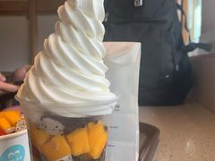 缤纷水果酸奶冰淇淋-丁丁&当当牦牛酸奶·酥油面包(官门口店)