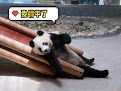 -西安秦岭野生动物园
