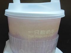 -一只酸奶牛(八一路店)