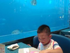 -瑞德姆美人鱼海底演艺主题餐厅(亚龙湾店)