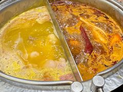 花胶鸡汤锅-一绪に寿喜烧(荟聚店)