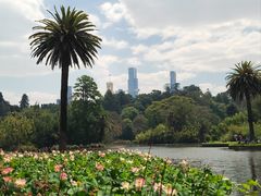 -墨尔本皇家植物园
