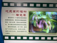 -上海昆虫博物馆