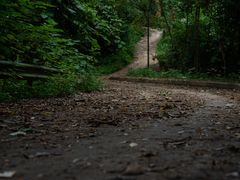 -南宁良凤江国家森林公园