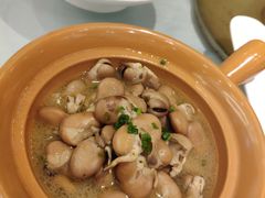 -骏莱海鲜鱼港(五角场店)