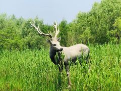 -留芳·文旅古月楼(老街店)
