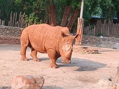 -北京野生动物园