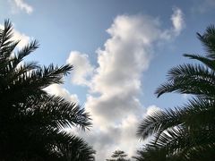-南方医科大学深圳医院