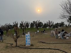 -小意思咖啡店(草桥店)