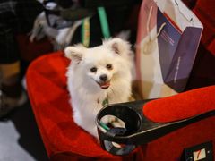 -保利国际影城(万家邻里店)