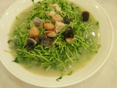 上汤豆苗-荔枝楼酒家(员村东璟店)