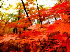 -丹东天桥沟景区