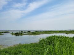 -七的湖·晚芳亭·阳澄湖农家菜·大闸蟹(莲花岛店)