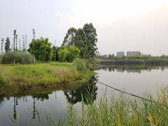 -眉山湿地公园(东坡区)