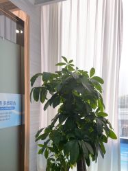 -武汉五洲整形外科医院