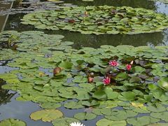 -国家植物园南园