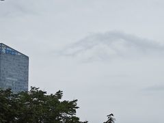 -天鹅湖体育公园