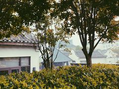 -宁波柏悦酒店·钱湖渔港