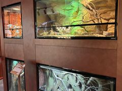 -帕帕拉兹宠物(亚洲旗舰店)