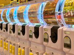 -DON DON DONKI(名珠城店)