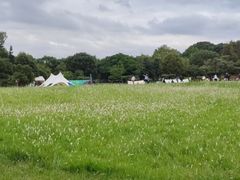 -福建鲤鱼洲酒店