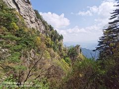 -王顺山国家森林公园