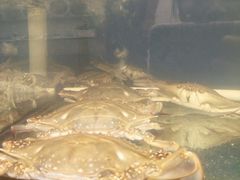 -渔中舟海鲜大排档(普陀沈家门店)