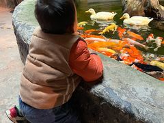 -正佳雨林生态植物园