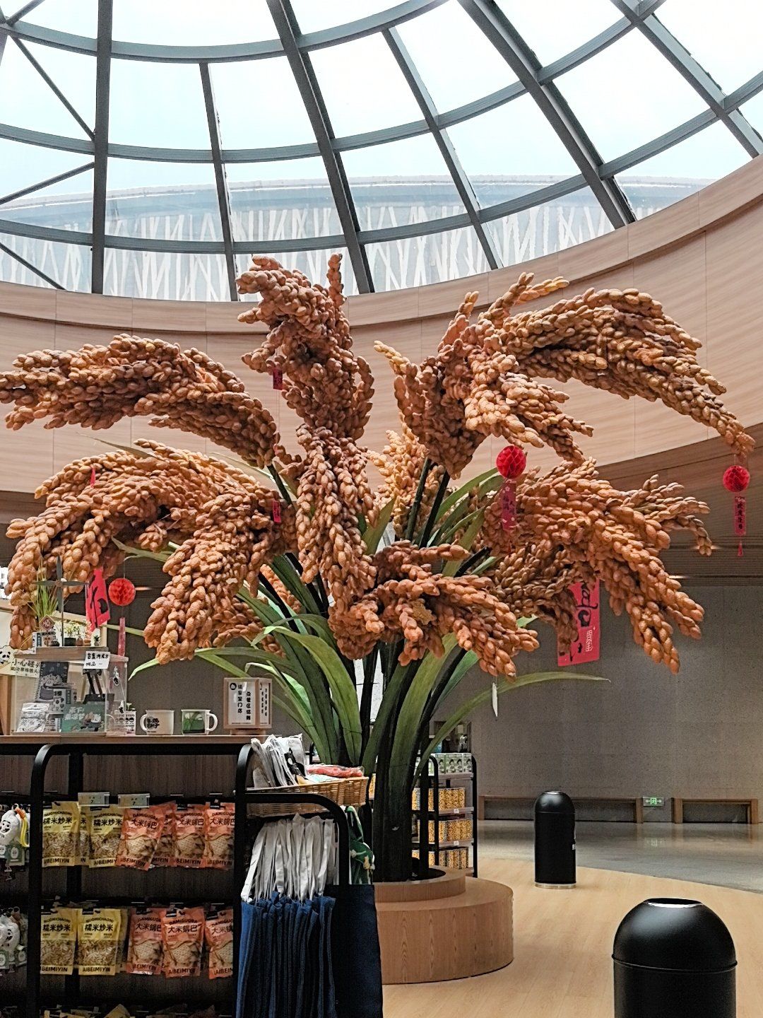 同行的同事们也很专业,了解了很多水稻和袁嗲嗲的相关知识

珍惜