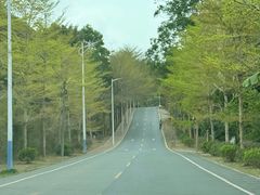 -黄埔油麻山森林公园