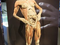 -生命奥秘博物馆