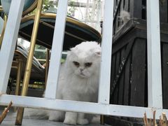 -小时光咖啡馆(北锣鼓巷店)