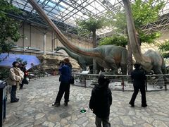 -国家自然博物馆