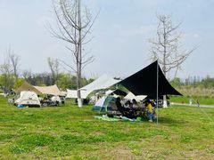 -白鹭湾湿地公园