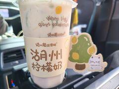 -猫的魔法密林(衣裳街店)