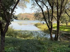 -旅马餐厅(茅家埠店)