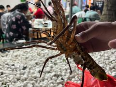 -哈味食店(外伶仃岛店)