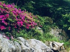 -南山风景名胜区