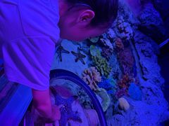 -暹罗海洋世界