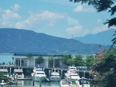 -希尔顿南海酒店·观廊大堂吧·海景下午茶