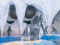 -太平洋海底世界