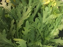 -云中鱼蒸汽石锅鱼(川沙百联店)