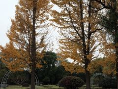 -洛阳市隋唐城遗址植物园