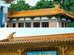 -南京博物院