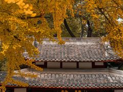 -成都市文殊院
