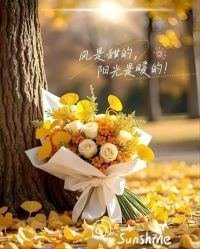 -香薇妮丝·定制减肥·身材管理