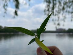 -北陵公园