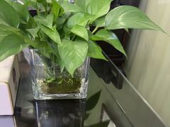 -张钰强中医正骨推拿连锁(华发商都店)